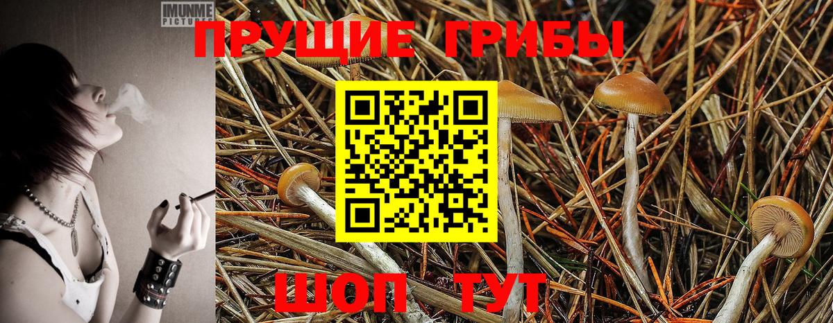 Лесосибирск  Галлюциногенные грибы Psilocybine cubensis  Псилоцибиновые грибы ЛСД  Вход с VPN 